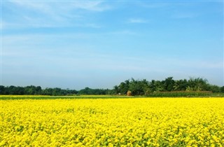 Bangladesh weersvoorspelling