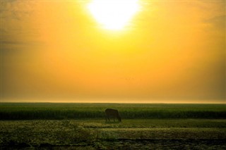 Bangladesh weather forecast