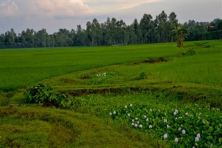 Bangladesh weather forecast