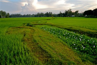 Bangladesh weather forecast