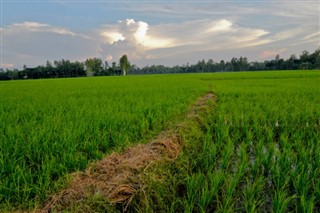 Bangladesh weather forecast