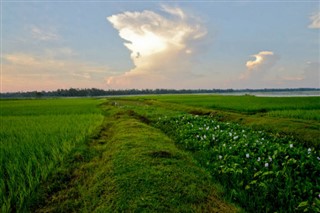 Bangladesh weather forecast