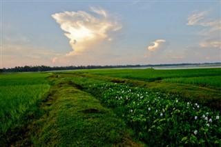 Bangladesh weather forecast