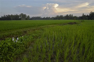 Bangladesh weather forecast