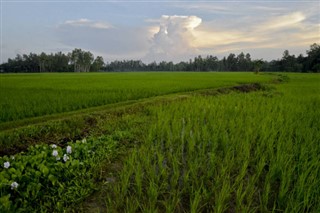 Bangladesh weather forecast