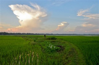 Bangladesh weather forecast