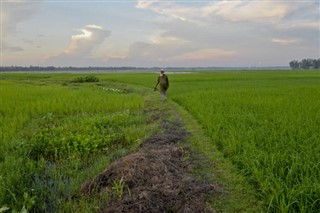 Bangladesh weather forecast