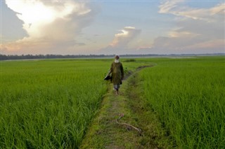 Bangladesh weather forecast