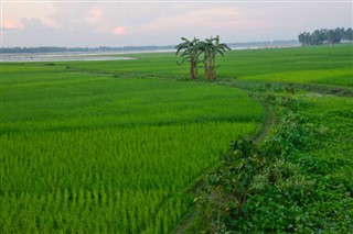 Bangladesh weather forecast