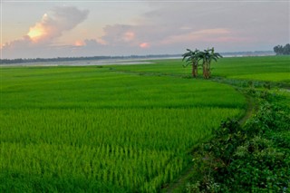 Bangladesh weather forecast