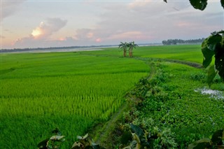 Bangladesh weather forecast