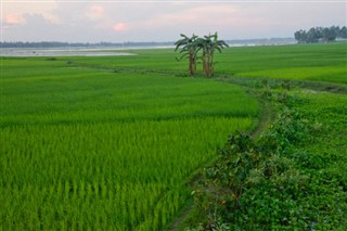 Bangladesh weather forecast