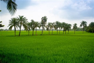 Bangladesh weather forecast