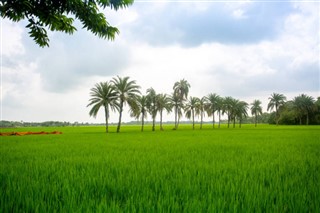 Bangladesh weather forecast