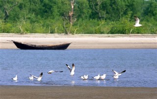 Bangladesh weather forecast