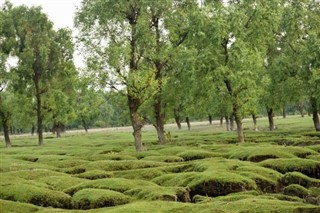 Bangladesh weather forecast