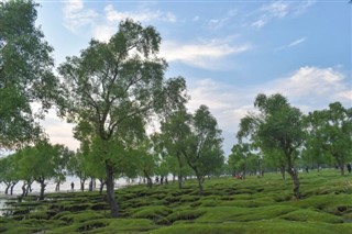 Bangladesh pronóstico del tiempo