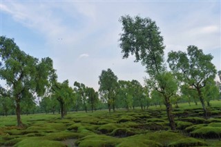 Bangladesh weather forecast