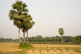 Bangladesh weather forecast