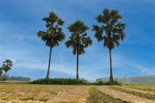 Bangladesh weather forecast