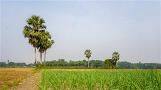 Bangladesh weather forecast