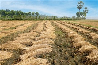 Bangladesh weather forecast