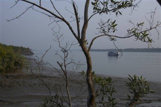 Bangladesh weather forecast