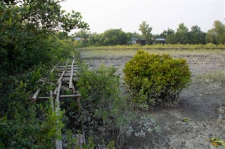 Bangladesh weather forecast