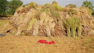 Bangladesh weather forecast