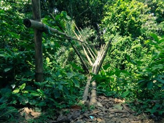 Bangladesh weather forecast