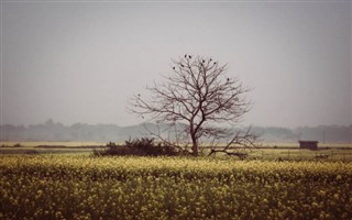 Bangladesh weather forecast