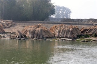 Bangladesh weather forecast