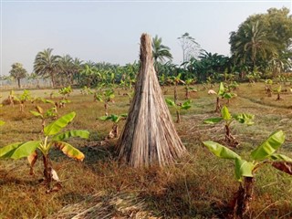 Bangladesh weather forecast