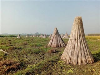 Bangladesh weather forecast