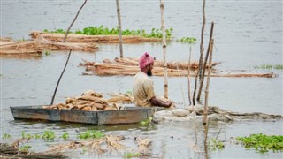 Bangladesh weather forecast