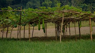 Bangladesh weather forecast