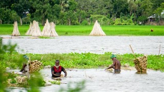 Bangladesh weather forecast