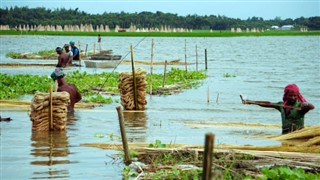 Bangladesh weather forecast