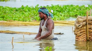 Bangladesh weather forecast