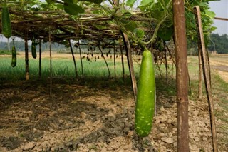 Bangladesh pronóstico del tiempo