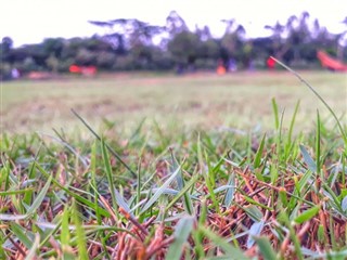 Bangladesh weather forecast