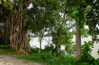 Bangladesh weather forecast