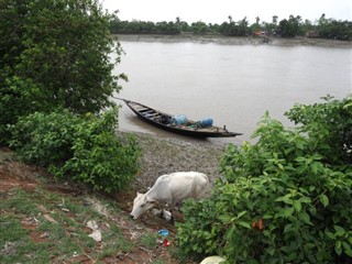 Bangladesh weather forecast