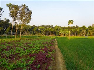 Bangladesh weather forecast