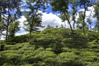 Bangladesh weather forecast