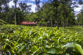 Bangladesh weather forecast