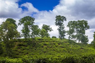 Bangladesh weather forecast