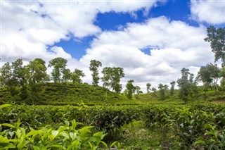 Bangladesh weather forecast