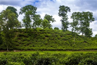 Bangladesh weather forecast