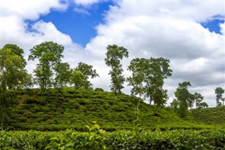 Bangladesh weather forecast